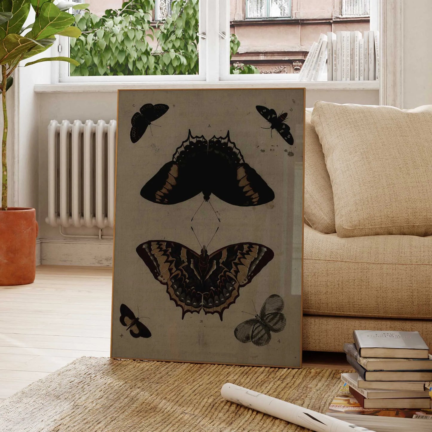 Natural Moths Macabre Insect Lepidoptera Illustration Wall Art Prints Canvas Painting Poster Picture For Living Room Home Decor